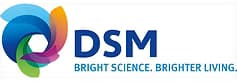 DSM